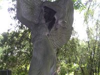 Bláthy Ottó Titusz